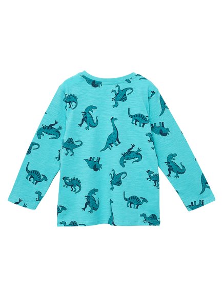 ΠΑΙΔΙΚΗ ΜΑΚΡΥΜΑΝΙΚΗ ΜΠΛΟΥΖΑ ΓΙΑ ΑΓΟΡΙΑ - ΤΥΡΚΟΥΑΖ Παιδικη Μακρυμανικη Μπλουζα Για Αγορια - Τυρκουαζ