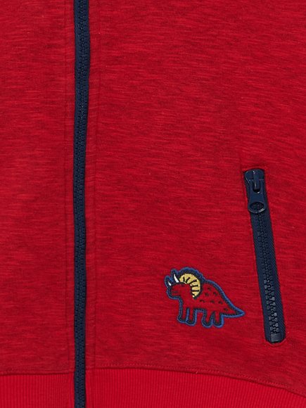 ΠΑΙΔΙΚΗ ΖΑΚΕΤΑ ΜΕ ΚΟΥΚΟΥΛΑ ΓΙΑ ΑΓΟΡΙΑ - ΚΟΚΚΙΝΟ Παιδικη Ζακετα Με Κουκουλα Για Αγορια - Κοκκινο