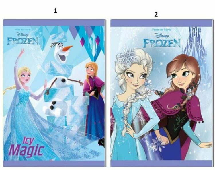 Frozen Τετράδιο Καρφίτσα 17X24 40 Φύλλων-2 Σχέδια